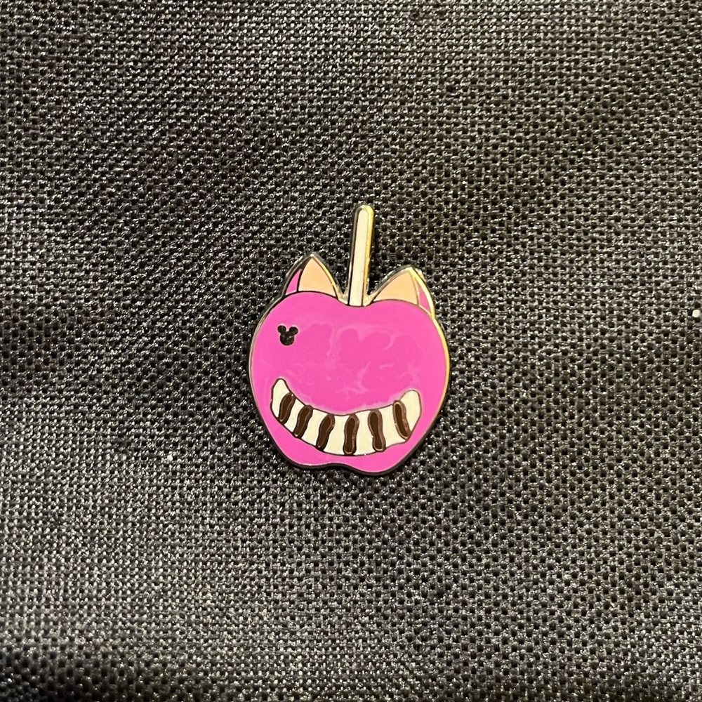 Disney pin